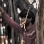 Kapil Mishra - @vasu_mark - Instagram