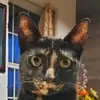 Mark - @markvela - TikTok