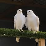 Mark Vermaesen - @vermaesenmark - Instagram