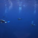 Mark Verrill - @verrillmark - Instagram