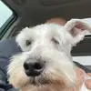 Mark Vickery678 - @markvickery0 - TikTok