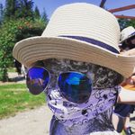 Marko Vozár - @markovozar - Instagram