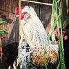 markwacker875 - @markwacker875 - TikTok