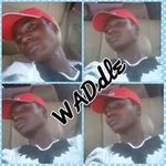 Mark Waddle - @mark.waddle - Instagram