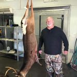 Mark Wade - @markwade1979 - Instagram