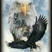 Mark Wagner - Facebook