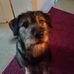Mark Wagner - Facebook
