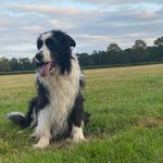Mark Waite - @3markwaite3284 - Instagram