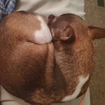 Mark Walden - @mcwalden12 - Instagram