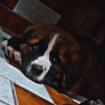 Mark Waldner - @markwaldner537 - Instagram