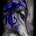 Markie Wallach - Facebook