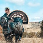Mark Wallen - @wallen.mark - Instagram