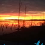 Mark Walling - @mark.walling.5 - Instagram