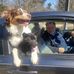 Mark Walthall - Facebook