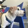 Mark ward - @markward2231 - TikTok