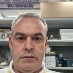 Mark wardell - @wardell5967 - Instagram