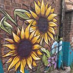 Mark Wardell - @markwardellmanchester - Instagram