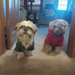 Mark Wardlow - Facebook