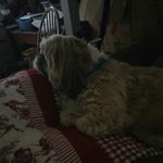 Mark Wardlow - @mrkwardlow - Instagram