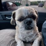 Mark Wardlow - @markwardlow2 - Instagram