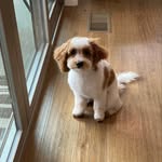 Mark Wareham - @markwareham3584 - Instagram