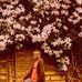 Abriham Markos Warko - Facebook