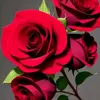 এমডি হাফিজুর রহমান - @mark.wash2 - TikTok