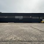 Mark Weber - @detailersheaven - Instagram