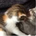 Mark Weekes - Facebook