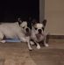 Mark Wegner - Facebook