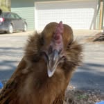 Mark Wehmeyer - @truthandstuffs - Instagram