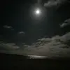 marekweider - @marekweider - TikTok