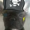 Markus Weingärtner - @markusundmurphy1 - TikTok