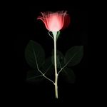 Mark Weisgerber - @weisgerber_mark_07 - Instagram