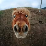 Mark Welsh - @mark2debra - Instagram