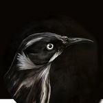 Mark Welsh - @markwelshpainting - Instagram