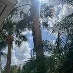 Mark Wendling - @markwendling - Instagram