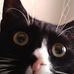 Markus Wendorf - Facebook