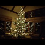 Mark Wentzel - @marklwentzel - Instagram