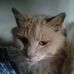 Mark Wentzel - Facebook