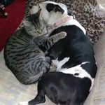 mark wentzel-stewart - @wentzel_stewart - Instagram