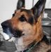 Mark Worden - Facebook
