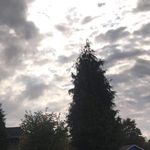Mark W. - @mark.westberg45 - Instagram