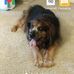 Mark Westervelt - Facebook