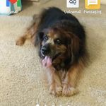 Mark Westervelt - @westervelt797 - Instagram