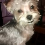 Mark  Westfall - @westfall1510 - Instagram