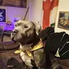 Mark Westlake - @mark.westlake1 - TikTok