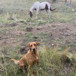 Dylan Mark Westover - @dywest12 - Instagram