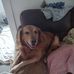 Mark Wyant - Facebook