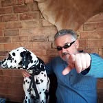Mark Whelan - @mark.whelan.100 - Instagram